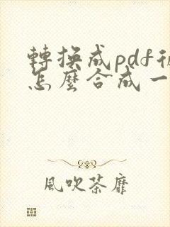 转换成pdf后怎么合成一页