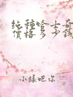 纯种哈士奇幼犬价格多少钱一只