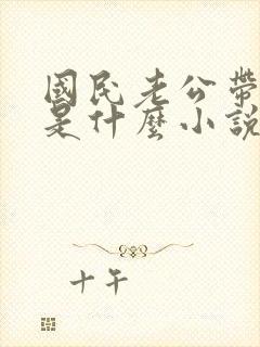 国民老公带回家是什么小说
