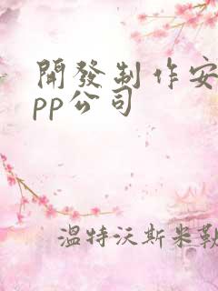 开发制作安卓app公司