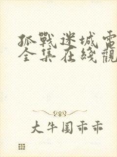 孤战迷城电视剧全集在线观看免费高清