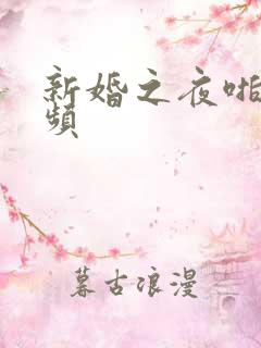 新婚之夜啪啪视频