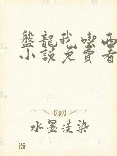 盘龙我吃西红柿小说免费看