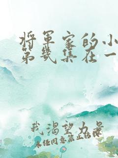 将军家的小娘子第几集在一起