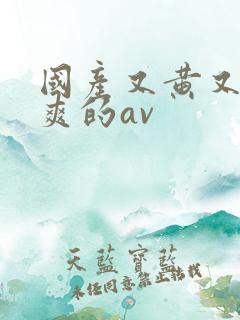 国产又黄又猛又爽的av
