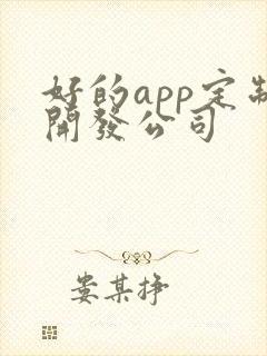 好的app定制开发公司