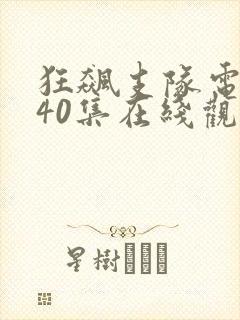 狂飙支队电视剧40集在线观看免费