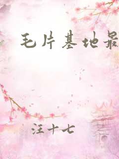 毛片基地最新版