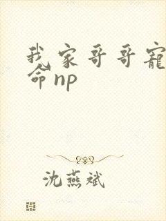我家哥哥宠妹如命np