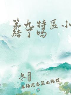 第九特区小说完结了吗
