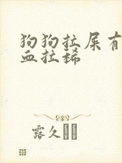 狗狗拉屎有些带血拉稀