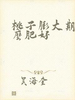 桃子膨大期上什么肥好