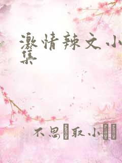 激情辣文小说合集