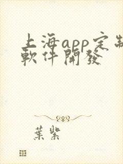 上海app定制软件开发