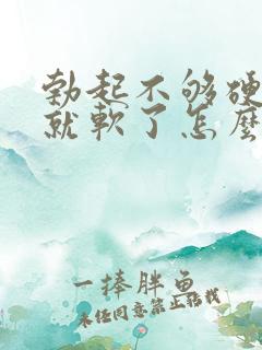 勃起不够硬一会就软了怎么治