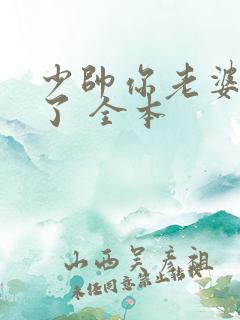 少帅你老婆又跑了 全本