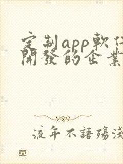 定制app软件开发的企业
