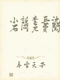 小说李兵沈思顽石网免费阅读