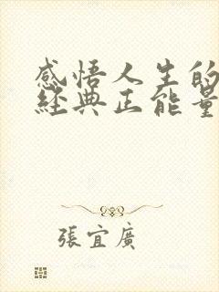 感悟人生的句子经典正能量短句