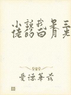小说我是三个大佬的白月光免费看