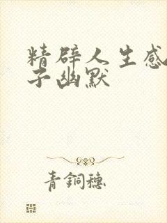 精辟人生感悟句子幽默