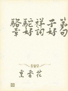 骆驼祥子第14章好词好句摘抄