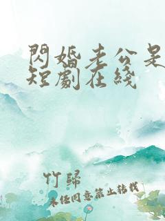 闪婚老公是总裁短剧在线