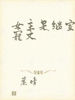 女主是继室填房宠文