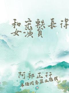 和宋轶长得像的女演员