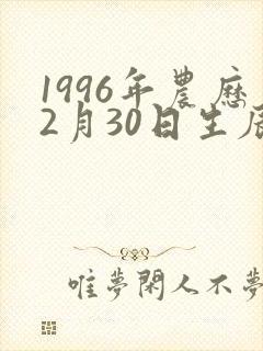 1996年农历2月30日生辰八字