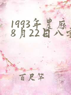 1993年农历8月22日八字