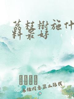 荔枝树施什么肥料最好