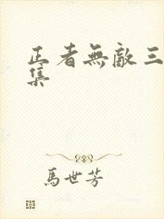 正者无敌三十六集