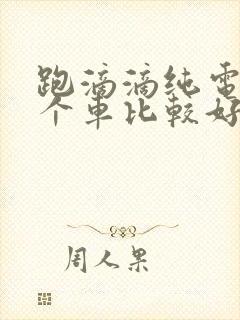 跑滴滴纯电车哪个车比较好