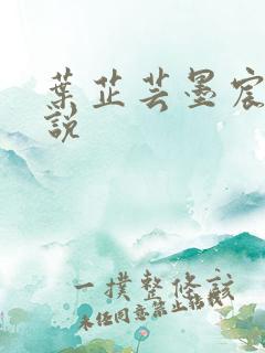 叶芷芸墨宸渊小说