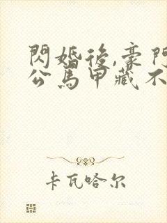 闪婚后,豪门老公马甲藏不住大结局