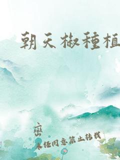 朝天椒种植技术