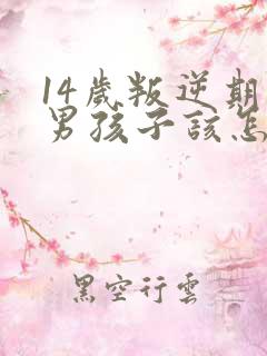 14岁叛逆期的男孩子该怎样去沟通教育