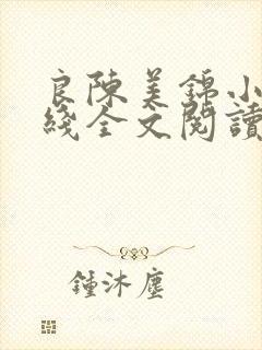 良陈美锦小说在线全文阅读