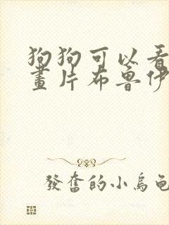狗狗可以看的动画片布鲁伊