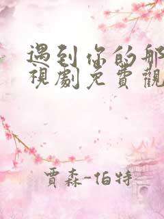 遇到你的那天电视剧免费观看