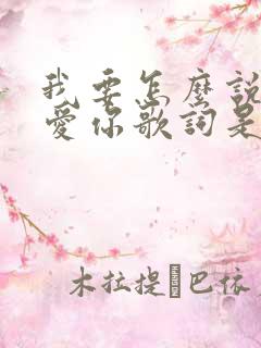 我要怎么说我不爱你歌词是什么歌