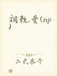 调教,爱(np)