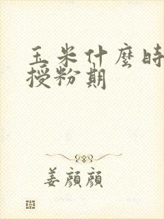 玉米什么时候是授粉期