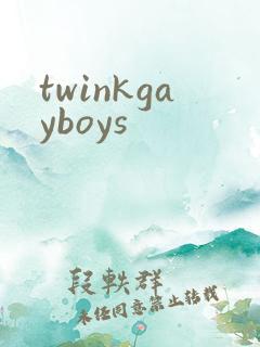 twinkgayboys
