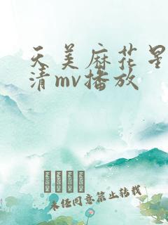 天美麻花星空高清mv播放