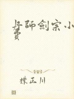 丹师剑宗小说免费