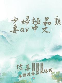 少妇极品熟妇人妻av中文