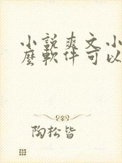 小说爽文小说什么软件可以看免费