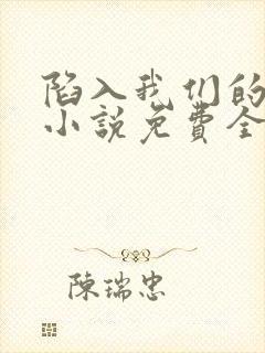 陷入我们的热恋小说免费全本阅读